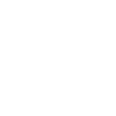 Ailoos Browser Icon