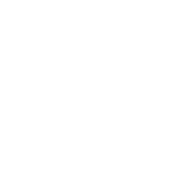 Twitter/X Icon